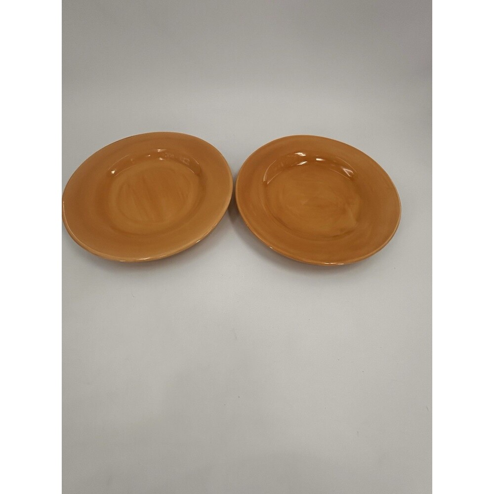 2 Pottery Barn Sausalito Amber/Gold Pasta 12”Bowls Plates Fast Shipping
